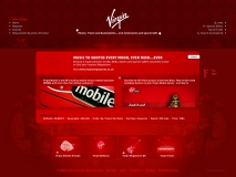 2007 - Virgin - Company overview - Company details